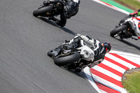 Advanced Group White Bikes